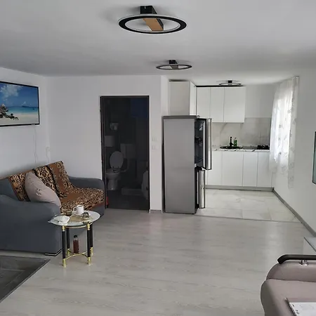 Apartment Penthouse Marasti